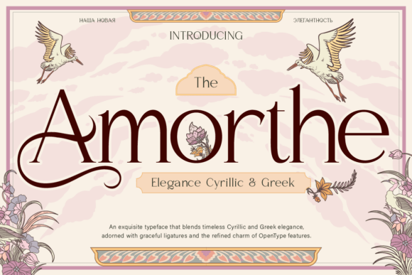 Amorthe Regular: A Designer’s Real-World Review