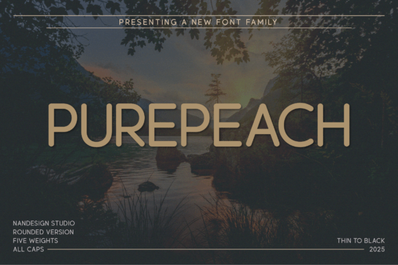 Purepeach Rounded: A Designer’s Real-World Review