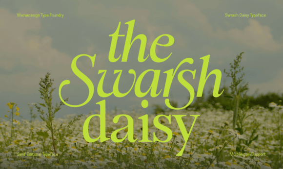 Swarsh Daisy: A Refined Serif for Digital Branding
